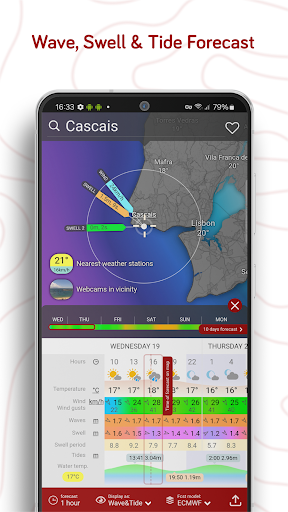 Windy.com - Weather Forecast screenshot