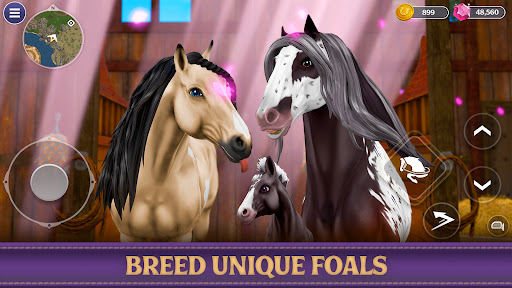 Star Equestrian - Horse Ranch screenshot