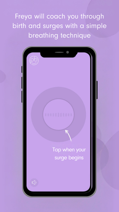 Freya - Surge Timer screenshot