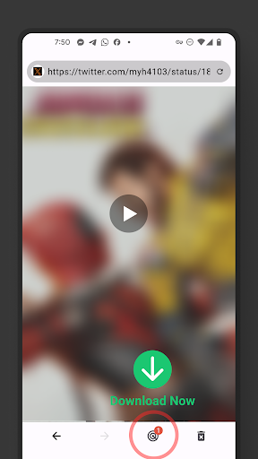 Video Browser screenshot