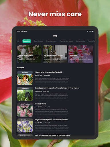 PlantIn Plant Identifier, Care screenshot