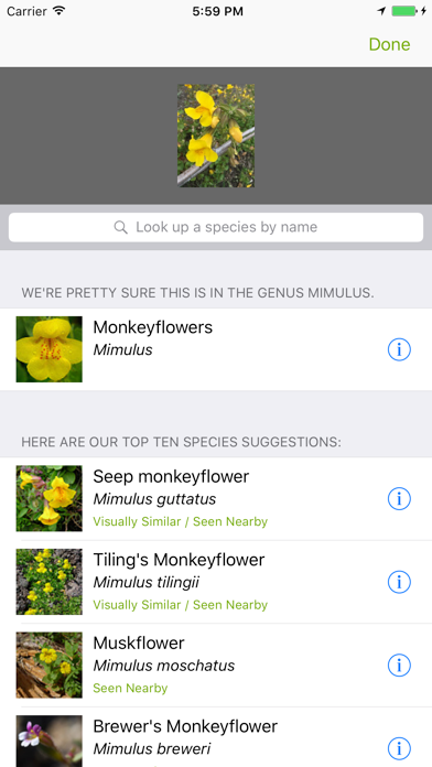 iNaturalist screenshot
