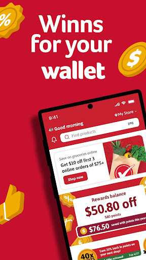 Winn-Dixie screenshot