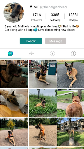 DogPack: Dog Parks & Services screenshot