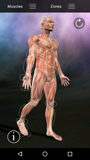 Muscle Trigger Point Anatomy screenshot