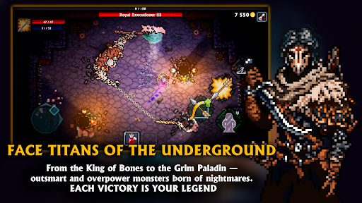 Pocket Rogues: Ultimate screenshot