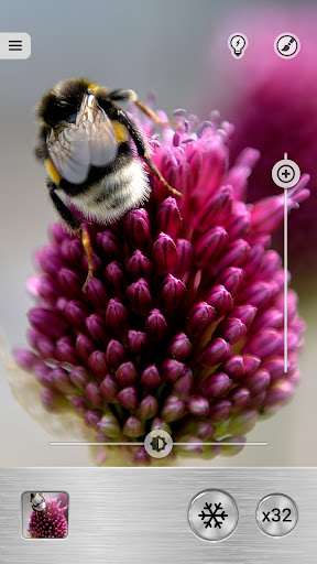 Magnifier Plus with Flashlight screenshot