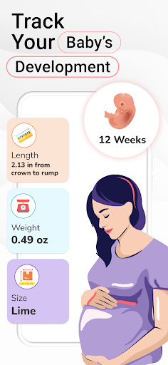 Pregnancy Calculator: Due Date screenshot
