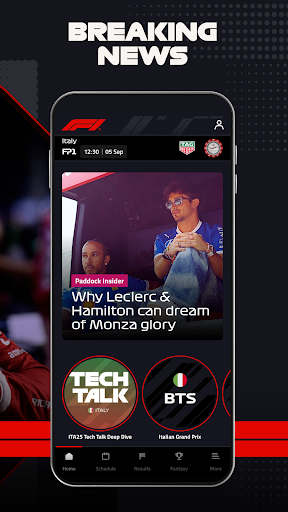 Formula 1® screenshot