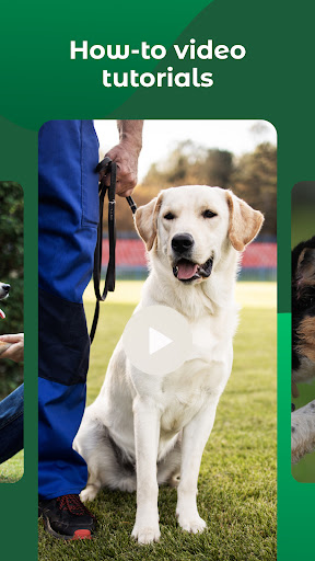 Dogo — Puppy and Dog Training screenshot