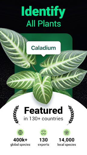 Plantum - Plant Identifier screenshot
