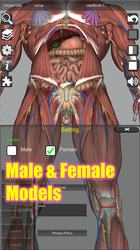 3D Anatomy screenshot