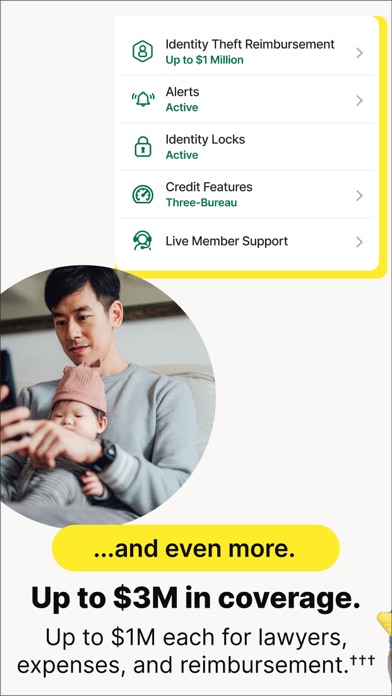 LifeLock Identity by Norton screenshot