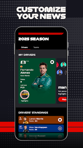 Formula 1® screenshot
