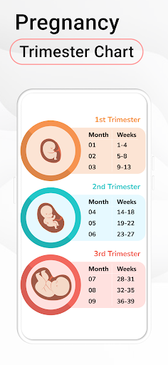 Pregnancy Calculator: Due Date screenshot