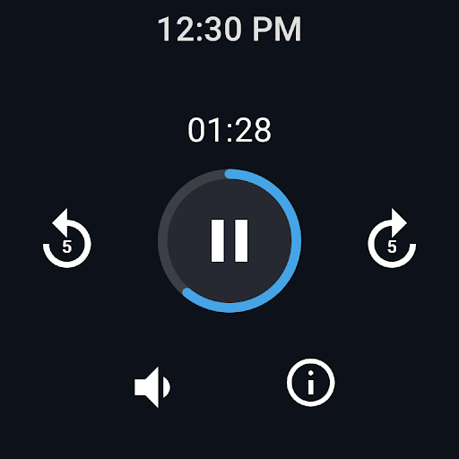 Easy Voice Recorder Pro screenshot