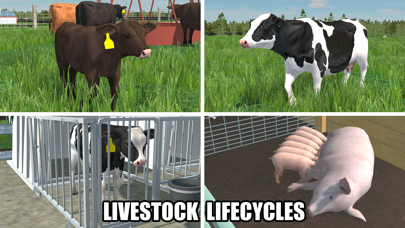 American Farming screenshot