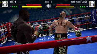Real Boxing 2 screenshot