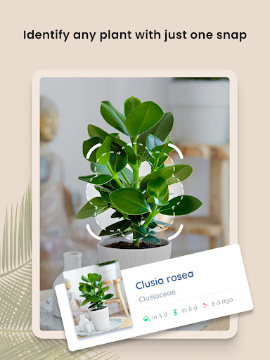 PlantIn Plant Identifier, Care screenshot