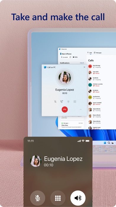 Link to Windows screenshot