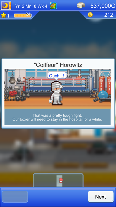 Boxing Gym Story screenshot