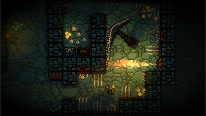 Pocket Rogues: Ultimate screenshot