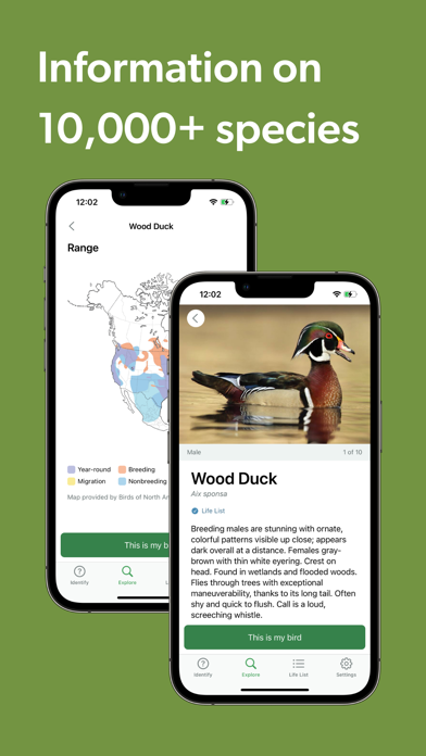 Merlin Bird ID by Cornell Lab screenshot