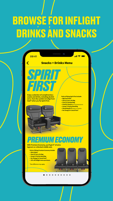 Spirit Airlines screenshot