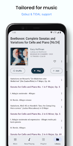 BubbleUPnP UPnP/DLNA License screenshot