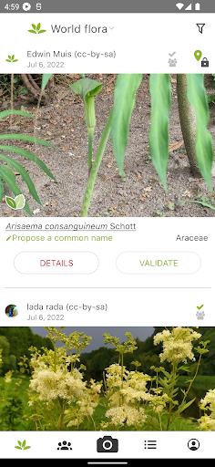 PlantNet Plant Identification screenshot