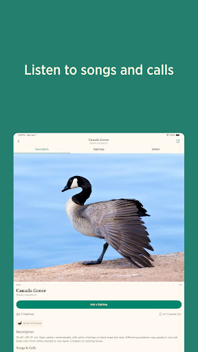 Audubon Bird Guide screenshot