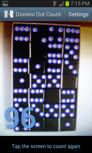 Domino Dot Counter screenshot