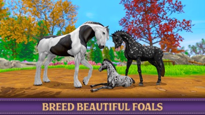 Star Equestrian - Horse Ranch screenshot