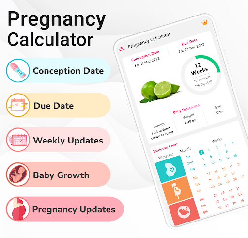Pregnancy Calculator: Due Date screenshot