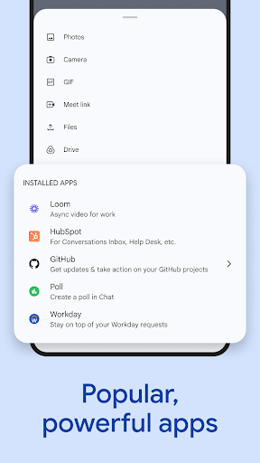 Google Chat screenshot