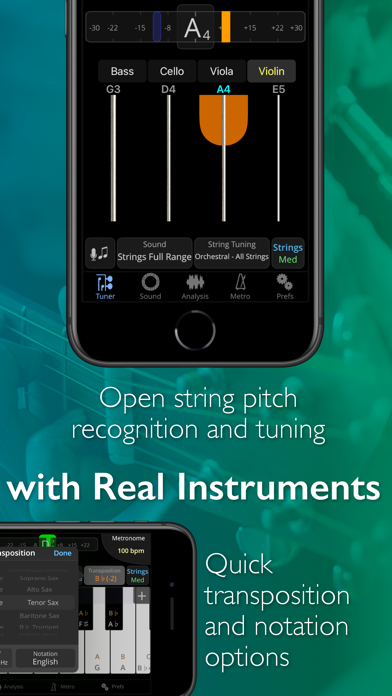 TonalEnergy Tuner & Metronome screenshot