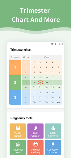 Pregnancy App screenshot