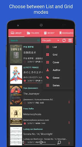 Librera PRO - Book reader screenshot