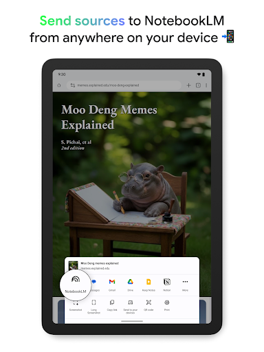 Google NotebookLM screenshot