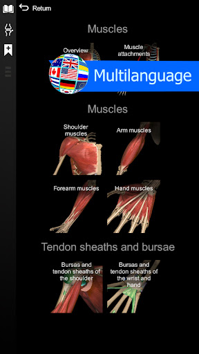Anatomy Learning - 3D Anatomy screenshot