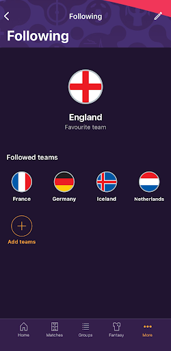Nations League & Women's EURO screenshot