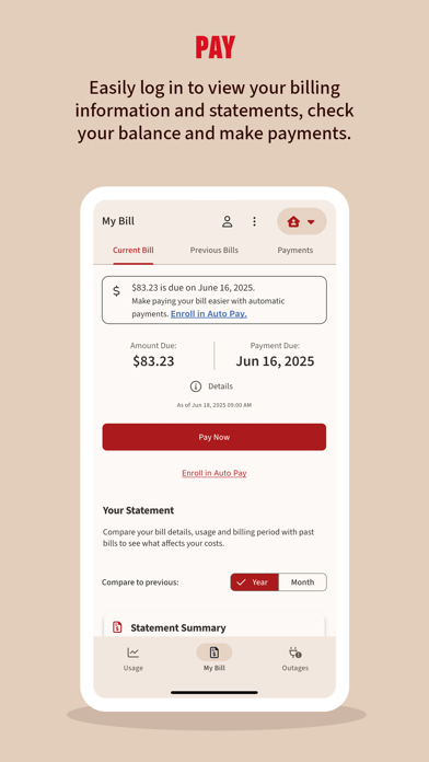 Xcel Energy screenshot