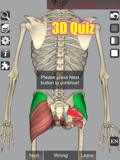 3D Anatomy screenshot