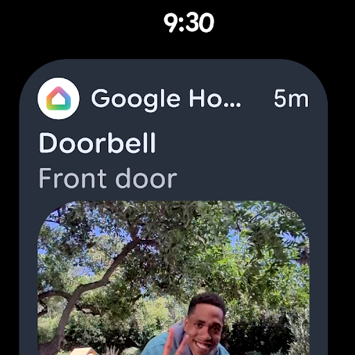 Google Home screenshot
