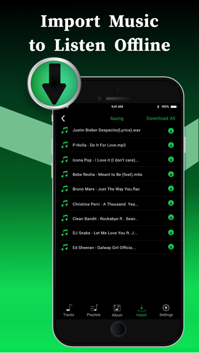 Offline Music Player screenshot