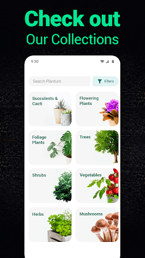 Plantum - Plant Identifier screenshot