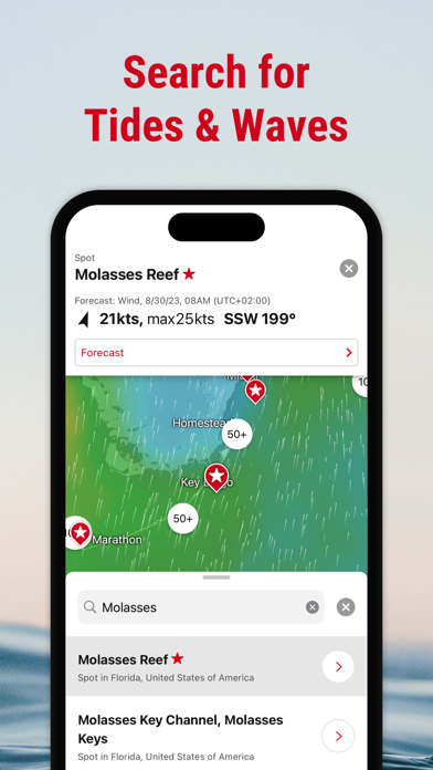Windfinder: Wind & Weather map screenshot