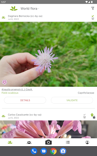 PlantNet Plant Identification screenshot
