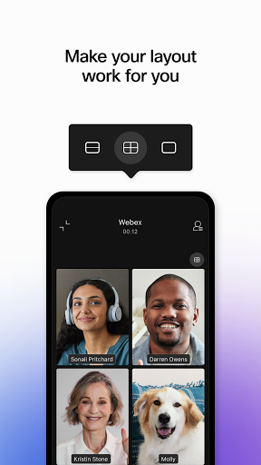 Webex screenshot