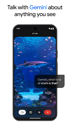 Google Gemini screenshot